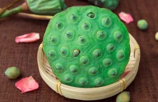 莲子|吃莲子是去火还是上火