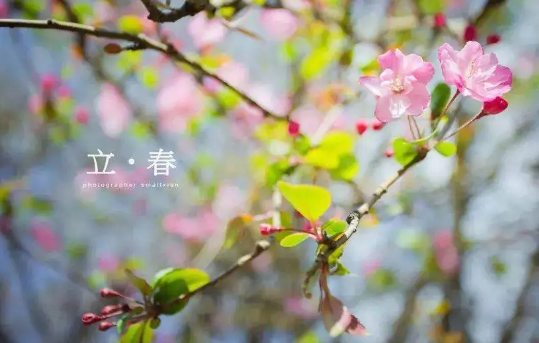 2023|2023年是双春年还是无春年