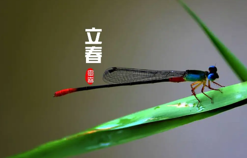 立春|2023年是一个春还是两个春