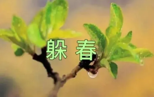 立春|2023年打春什么属相需要躲春
