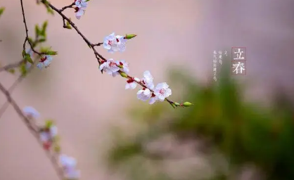 双春年|2023年双春年好不好