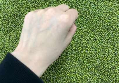 橄榄皮|橄榄皮是天生的吗