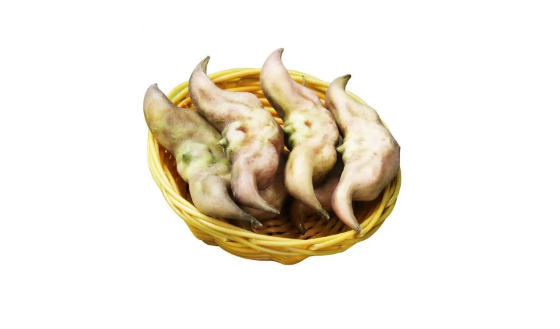 菱角|菱角为什么不能和蜂蜜一起吃