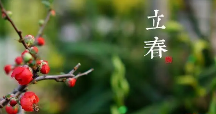 2023|2023年是不是黑春年