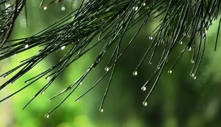 高中|2022高中军训下雨会停止军训吗