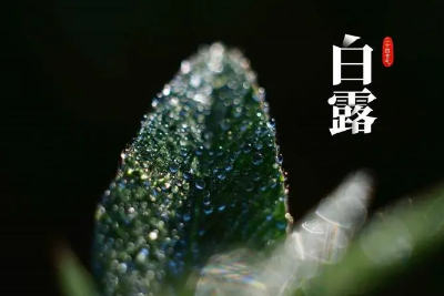 白露|2022年白露节气是农历几月几号