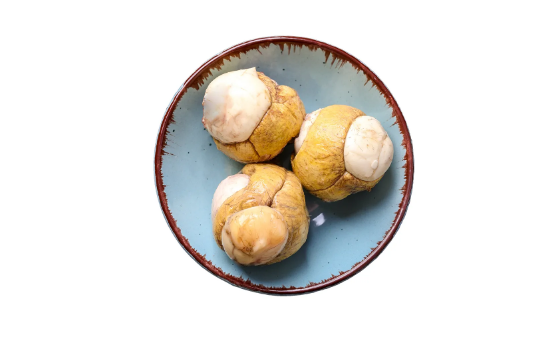 活珠子|活珠子白色硬块能吃吗