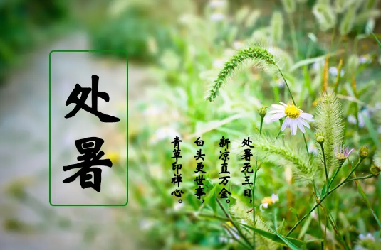 处暑|2022年处暑是几月几号几点几分几秒钟