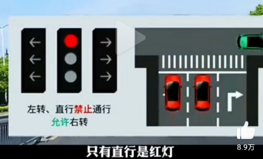 红绿灯|新版红绿灯信号灯图解最新