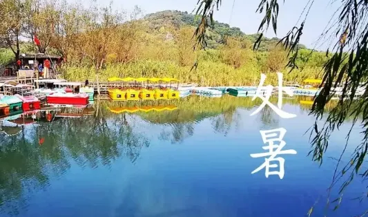 处暑|2022年处暑以后会降温吗
