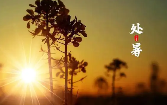 处暑|2022年处暑交运是几点到几点