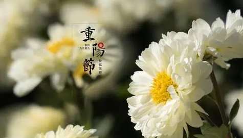 2022年|2022年学校重阳节什么时候开始