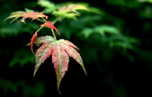 国庆节|2022国庆节天气是冷还是热