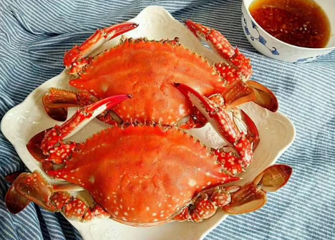 梭子蟹|梭子蟹闻起来有轻微臭味还能吃吗