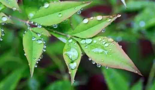 深圳|2022深圳10月份雨水多吗