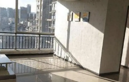 房间|房间里放植物能增强活力阳气吗