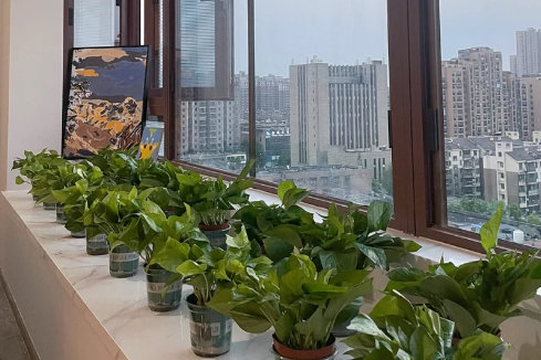 新房|新房不住永远有味道正常吗