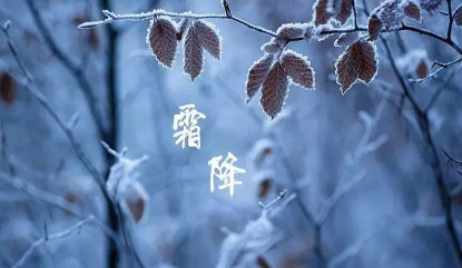 霜降|2022年霜降后天气还热吗