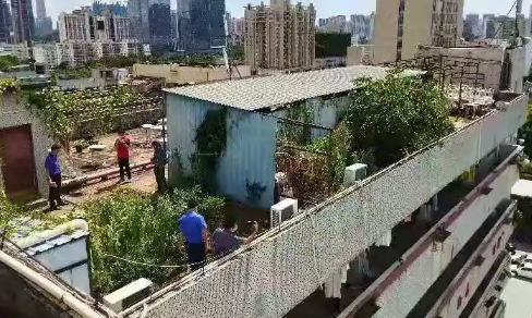 楼顶|楼顶为什么不能种菜