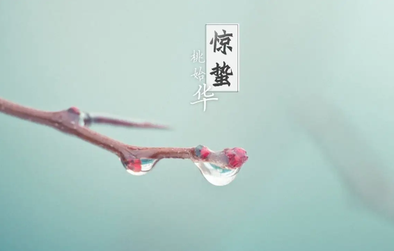 惊蛰|惊蛰节气的特点和风俗