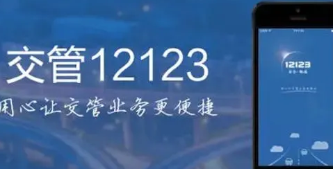 12123|12123解除备案车辆有啥用