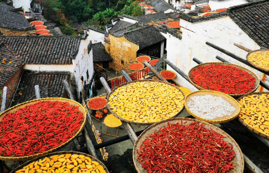 婺源|2022年婺源晒秋最佳时间是几月到几月