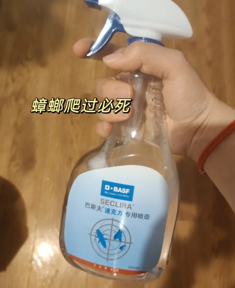 跳蚤粉|跳蚤粉可以杀死蟑螂吗