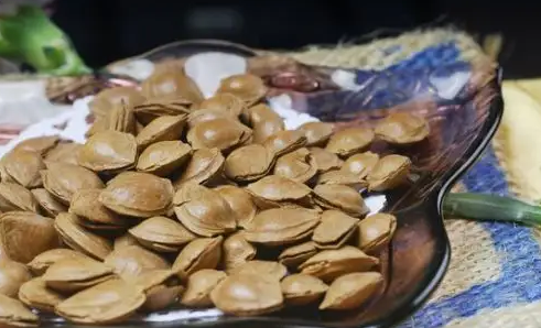 中药|山上的野杏仁能吃吗