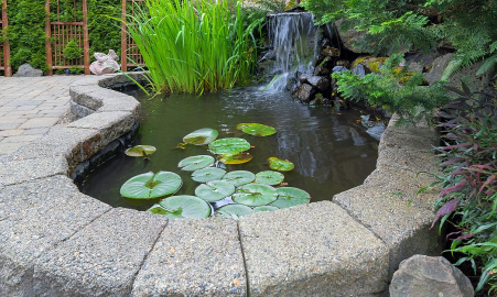 庭院水缸|庭院水缸能种铜钱草吗