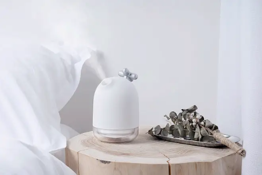 加湿器|加湿器水里可以加白醋吗