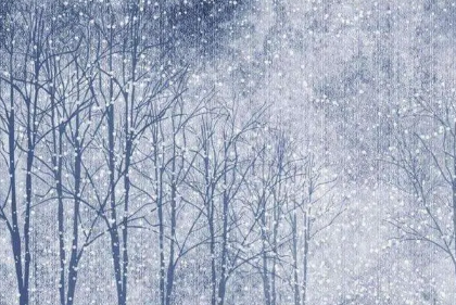 北京|今年元旦北京会下雪吗2023