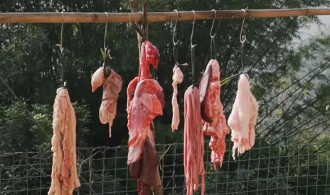 腊月杀猪|2023年腊月初一杀猪好不好