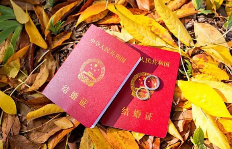 ?生肖虎|生肖虎2023年1月领证好不好