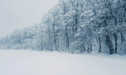 2月份|2023年2月份下雪的地方有哪些