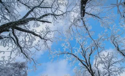 2月份|2023年2月份下雪的地方有哪些