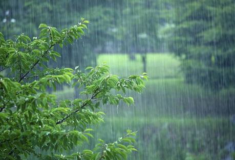 降雨|2023年一年的雨水怎么样