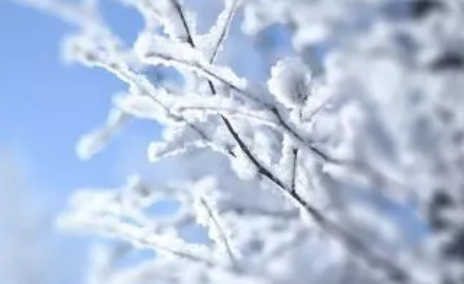 小雪节气|2022年小雪节气艾灸有什么好处