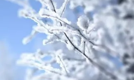 小雪节气|2022年小雪节气晴天好吗