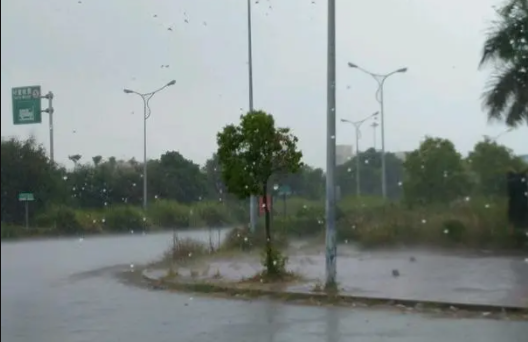 深圳| 深圳12月会下雨吗