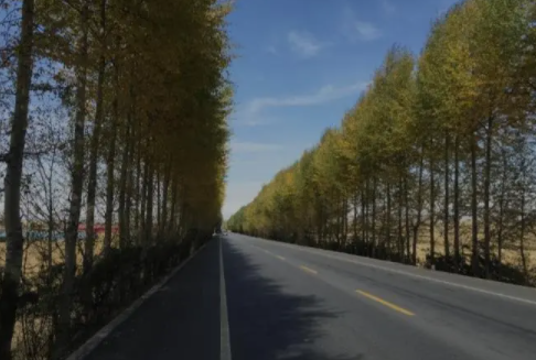 春节回家|2023春节回家走国道好还是高速好