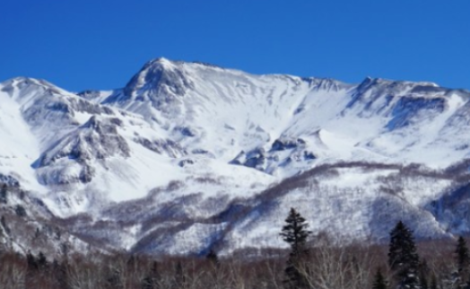 东北|12月份去东北能看见雪吗