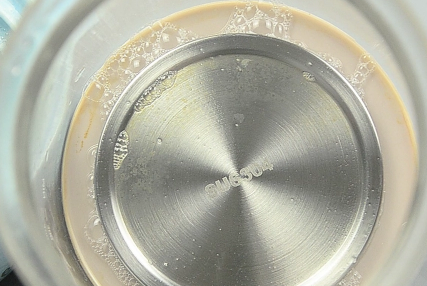 养生壶|养生壶烧水有水垢吗