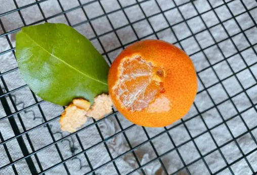 砂糖橘|砂糖橘可以化痰吗