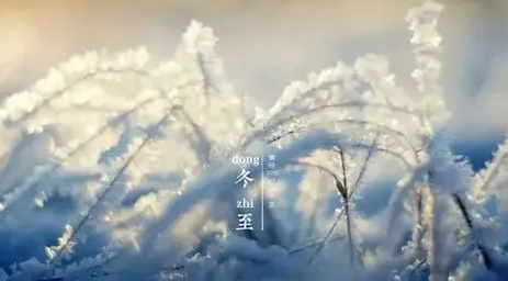 冬三九|冬三九是什么意思