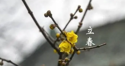 打春|2023过年打春什么说法