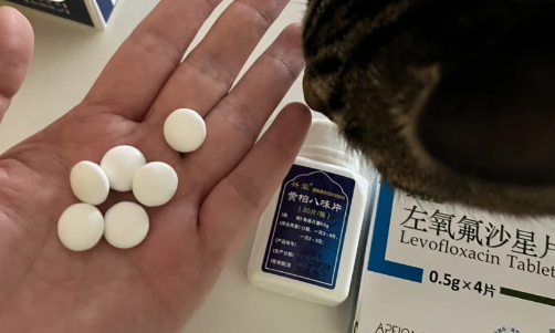 尿路感染|尿路感染吃了6天左氧没好转需要换药吗