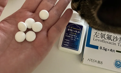 尿路感染|尿路感染吃诺氟还是左氧好些