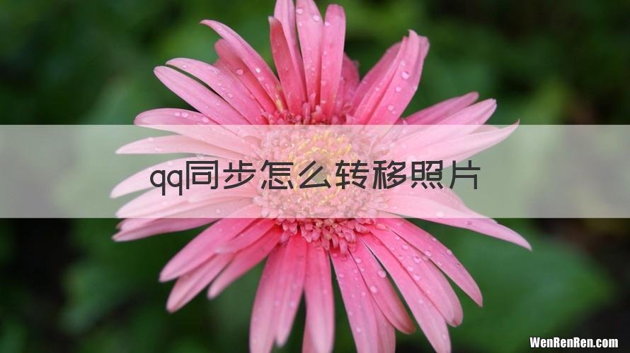 qq同步怎么转移照片