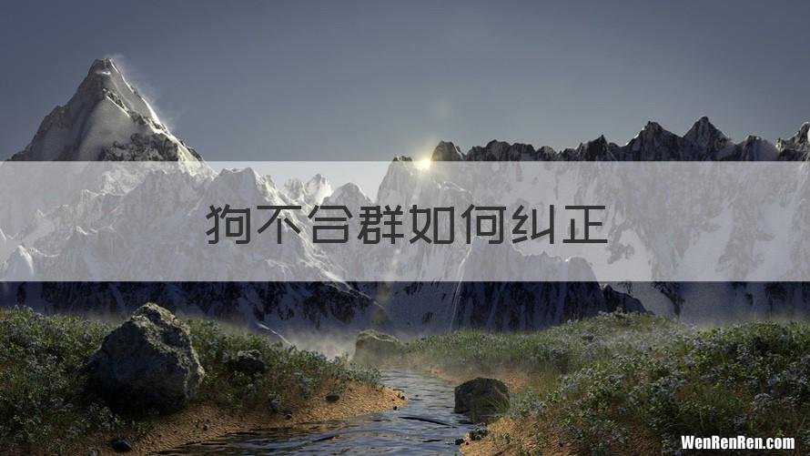 狗不合群如何纠正