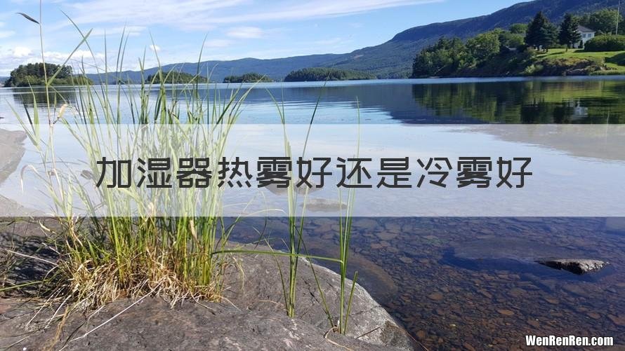 加湿器热雾好还是冷雾好